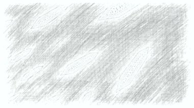 Siyah ve beyaz monokrom soyut sanat video animasyonu gerçeküstü uzaylı fraktal kaleydoskopik anahat çiçek kristal simetri yapısı dönüşüm değişim sürecinde 