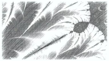 Siyah ve beyaz monokrom soyut sanat video animasyonu gerçeküstü uzaylı fraktal kaleydoskopik anahat çiçek kristal simetri yapısı dönüşüm değişim sürecinde 