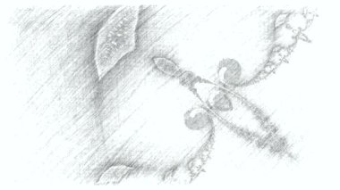 Siyah ve beyaz monokrom soyut sanat video animasyonu gerçeküstü uzaylı fraktal kaleydoskopik anahat çiçek kristal simetri yapısı dönüşüm değişim sürecinde 