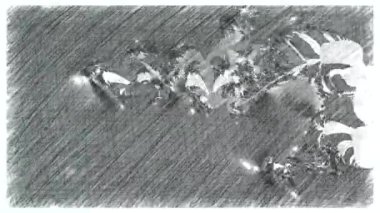 Boyanmış bir arka planda kabataslak ve çizim animasyonu. Şarjörün üstüne yerleştirmek için Doodle tarzı. Yüksek kalite sanat videosu oluşturma. Filtre için stok hareket ögesi. Arızalı piksel etkisi.