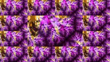 Soyut Bilgisayar Fraktal Tasarımı. Fraktal hiç bitmeyen bir desen. Fraktallar, farklı ölçeklerde kendine benzeyen sonsuz derecede karmaşık kalıplardır. Televizyon duvar efekti. Arıza efekti.