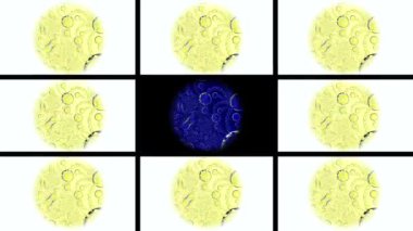 Soyut Bilgisayar Fraktal Tasarımı. Fraktal hiç bitmeyen bir desen. Fraktallar, farklı ölçeklerde kendine benzeyen sonsuz derecede karmaşık kalıplardır. Cep telefonu duvar kağıdı için harika.