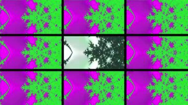 Soyut Bilgisayar Fraktal Tasarımı. Fraktal hiç bitmeyen bir desen. Fraktallar, farklı ölçeklerde kendine benzeyen sonsuz derecede karmaşık kalıplardır. Cep telefonu duvar kağıdı için harika.