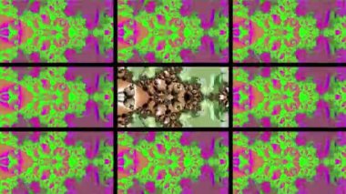 Soyut Bilgisayar Fraktal Tasarımı. Fraktal hiç bitmeyen bir desen. Fraktallar, farklı ölçeklerde kendine benzeyen sonsuz derecede karmaşık kalıplardır. Cep telefonu duvar kağıdı için harika.