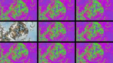 Soyut Bilgisayar Fraktal Tasarımı. Fraktal hiç bitmeyen bir desen. Fraktallar, farklı ölçeklerde kendine benzeyen sonsuz derecede karmaşık kalıplardır. Cep telefonu duvar kağıdı için harika.