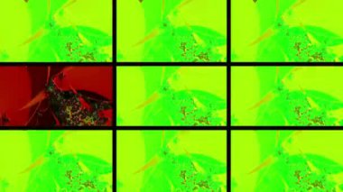 Soyut Bilgisayar Fraktal Tasarımı. Fraktal hiç bitmeyen bir desen. Fraktallar, farklı ölçeklerde kendine benzeyen sonsuz derecede karmaşık kalıplardır. Cep telefonu duvar kağıdı için harika.