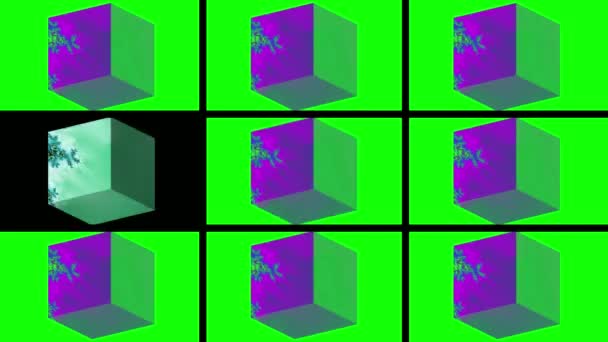 Abstraktes Computer Generiertes Fraktal Design Ein Fraktal Ist Ein Endloses — Stockvideo