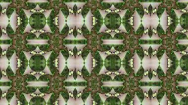 Soyut Bilgisayar Fraktal Tasarımı. Fraktal hiç bitmeyen bir desen. Fraktallar, farklı ölçeklerde kendine benzeyen sonsuz derecede karmaşık kalıplardır. Cep telefonu duvar kağıdı için harika.