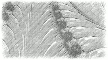 Soyut Bilgisayar Fraktal Tasarımı. Fraktal hiç bitmeyen bir desen. Fraktallar, farklı ölçeklerde kendine benzeyen sonsuz derecede karmaşık kalıplardır. Cep telefonu duvar kağıdı için harika.