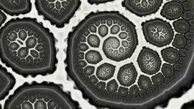 Soyut Bilgisayar Fraktal Tasarımı. Fraktal hiç bitmeyen bir desen. Fraktallar, farklı ölçeklerde kendine benzeyen sonsuz derecede karmaşık kalıplardır. Cep telefonu duvar kağıdı için harika.