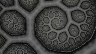 Soyut Bilgisayar Fraktal Tasarımı. Fraktal hiç bitmeyen bir desen. Fraktallar, farklı ölçeklerde kendine benzeyen sonsuz derecede karmaşık kalıplardır. Cep telefonu duvar kağıdı için harika.