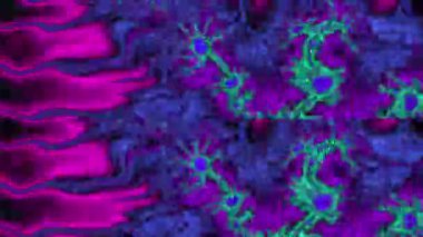 Soyut Bilgisayar Fraktal Tasarımı. Fraktal hiç bitmeyen bir desen. Fraktallar, farklı ölçeklerde kendine benzeyen sonsuz derecede karmaşık kalıplardır. Cep telefonu duvar kağıdı için harika.