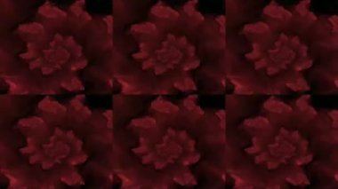 Soyut Bilgisayar Fraktal Tasarımı. Fraktal hiç bitmeyen bir desen. Fraktallar, farklı ölçeklerde kendine benzeyen sonsuz derecede karmaşık kalıplardır. Cep telefonu duvar kağıdı için harika.