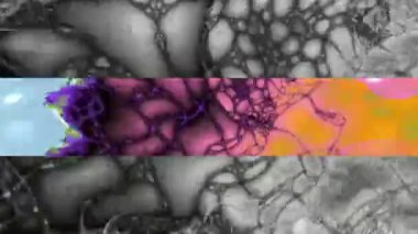 Soyut Bilgisayar Fraktal Tasarımı. Fraktal hiç bitmeyen bir desen. Fraktallar, farklı ölçeklerde kendine benzeyen sonsuz derecede karmaşık kalıplardır. Cep telefonu duvar kağıdı için harika.