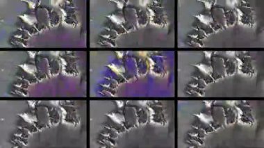 Soyut Bilgisayar Fraktal Tasarımı. Fraktal hiç bitmeyen bir desen. Fraktallar, farklı ölçeklerde kendine benzeyen sonsuz derecede karmaşık kalıplardır. Cep telefonu duvar kağıdı için harika.