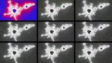 Soyut Bilgisayar Fraktal Tasarımı. Fraktal hiç bitmeyen bir desen. Fraktallar, farklı ölçeklerde kendine benzeyen sonsuz derecede karmaşık kalıplardır. Cep telefonu duvar kağıdı için harika.