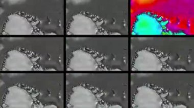 Soyut Bilgisayar Fraktal Tasarımı. Fraktal hiç bitmeyen bir desen. Fraktallar, farklı ölçeklerde kendine benzeyen sonsuz derecede karmaşık kalıplardır. Cep telefonu duvar kağıdı için harika.