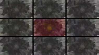 Soyut Bilgisayar Fraktal Tasarımı. Fraktal hiç bitmeyen bir desen. Fraktallar, farklı ölçeklerde kendine benzeyen sonsuz derecede karmaşık kalıplardır. Cep telefonu duvar kağıdı için harika.