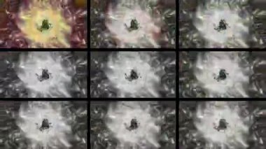 Soyut Bilgisayar Fraktal Tasarımı. Fraktal hiç bitmeyen bir desen. Fraktallar, farklı ölçeklerde kendine benzeyen sonsuz derecede karmaşık kalıplardır. Cep telefonu duvar kağıdı için harika.