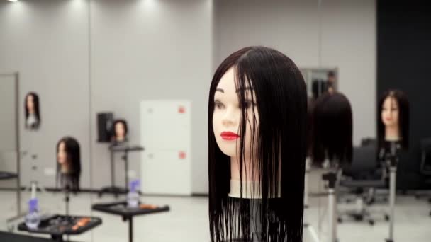 Plusieurs têtes de mannequin pour la pratique — Video