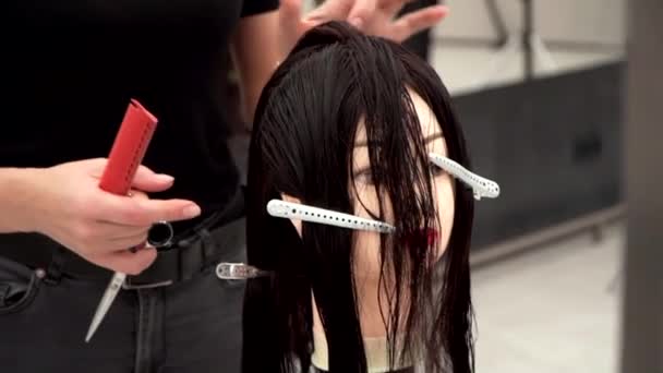 Caucasian girl in black clothes cuts the head of a mannequin — Stock Video