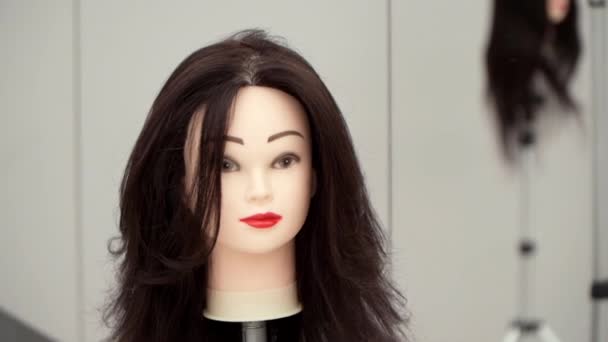 Tête de mannequin pour pratiquer la coiffure — Video