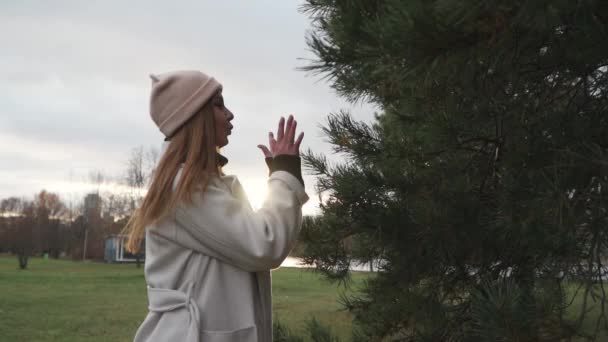 Gadis itu menyentuh cabang fir — Stok Video