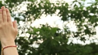 Puja. Kadınların elleri ormanda dua ediyor.