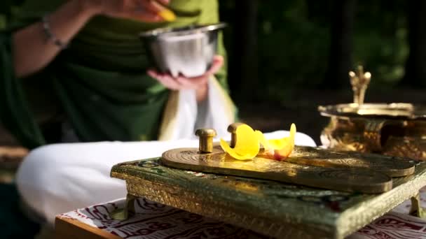 Ritual Arathi. Rosa para oferecer à divindade — Vídeo de Stock