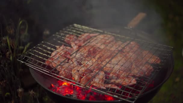 La viande est frite sur un support métallique — Video