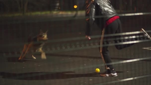 Paseo nocturno con un perro en un campo de fútbol deportivo — Vídeos de Stock