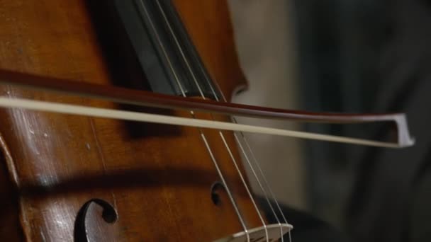 Vrouw in een zwart trui speelt de cello — Stockvideo