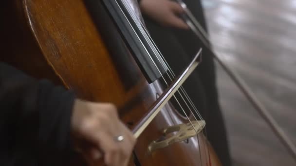 Frau im schwarzen Pullover spielt Cello — Stockvideo