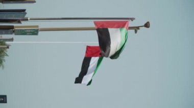 Birleşik Arap Emirlikleri Bayrağı