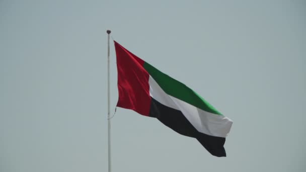 Bendera Uni Emirat Arab — Stok Video