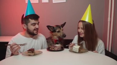 Köpeğin doğum günü. Kırmızı papyonlu bir köpek. doğum günü başlıkları