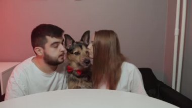  Kırmızı papyonlu bir köpek. Köpekli aile