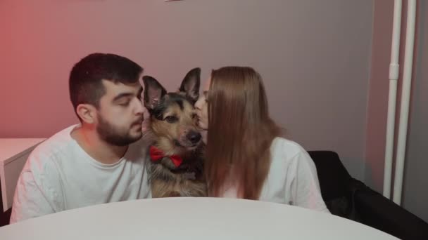 Cão em um laço festivo vermelho. Família com cão — Vídeo de Stock