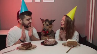 Köpeğin doğum günü. Kırmızı papyonlu bir köpek. doğum günü başlıkları