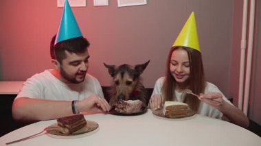 Köpeğin doğum günü. Kırmızı papyonlu bir köpek. doğum günü başlıkları