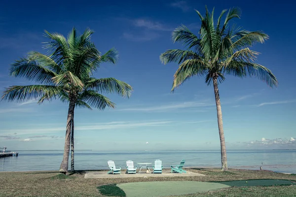 Yaşlandığında çay içebileceğin bir yer ve palmiye ağaçları.
