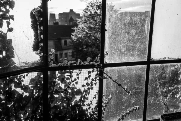 Terk edilmiş fabrikanın kirli penceresinden içeri güneş giriyor.