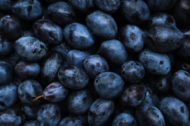 Geçmişi parlak ve olgun erikler, güzel ve lezzetli meyveler.