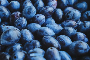 Geçmişi parlak ve olgun erikler, güzel ve lezzetli meyveler.