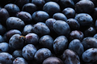 Geçmişi parlak ve olgun erikler, güzel ve lezzetli meyveler.