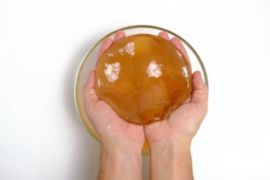 Kombucha in hands on a white background,delicious and healthy drink