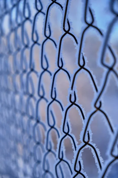 Background Netting Covered Frost Snow Frosty Winter Day — Stock Photo, Image