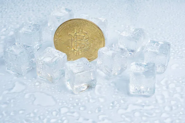 Біткоїн Монета Середній Танення Кубиків Льоду Краплі Води Світлому Фоні — стокове фото