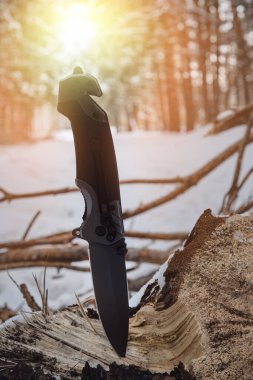 Katlanan kamp bıçağı, kış ormanlarında düşen çam ağacında günbatımının arka planında sıkışıp kalmış.