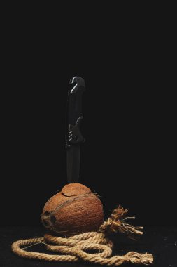 Taktik katlama bıçağı, arka planda ipin yanında duran bölünmüş hindistan cevizine sıkışmış.